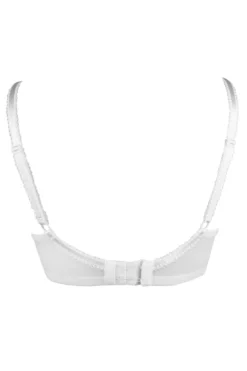 Imogen Rose Embroidered Bra - White -Curve by Lingerie 229662 20230606143900