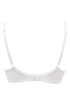 Forever Fiore Plunge Push Up Tshirt Bra - White -Curve by Lingerie 252337 20210505154100