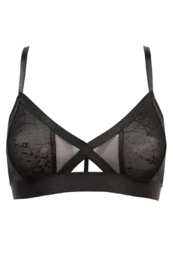 India Mesh & Lace Non Wired Bralette - Black -Curve by Lingerie 263018 20210923093400