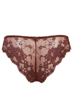 Amour Brazilian Brief - Truffle 11 Amour Brazilian Brief - Truffle -Curve by Lingerie 263721 20220422160800