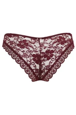 Rebel Brazilian Brief - Black Cherry 7 Rebel Brazilian Brief - Black Cherry -Curve by Lingerie 264249 20210927145600