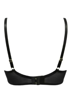 Laced In Gold Demi Padded Bra - Black/Gold 13 Laced In Gold Demi Padded Bra - Black/Gold -Curve by Lingerie 265063 20220927170200