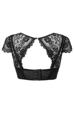 India Underwired Cap Sleeve Cami Bra - Black -Curve by Lingerie 266839 20211026123500