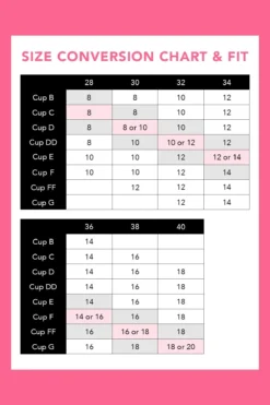 India Removable Padded Soft Triangle Bra - Chocolate -Curve by Lingerie 267874 20211109162400