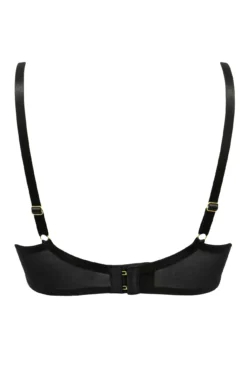 Laced In Gold Padded Set - Black/Gold -Curve by Lingerie 268218 20211105142500