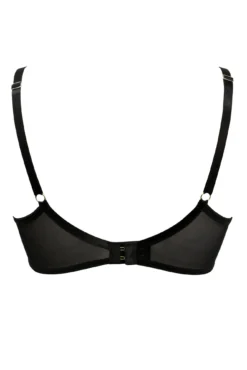 Scandalous Padded Bra - Black -Curve by Lingerie 269063 20211111095600