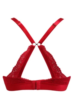 India Padded Triangle Set - Red -Curve by Lingerie 269851 20211125114500