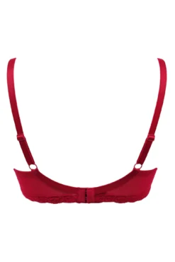 Luxe Linear Lightly Padded Set - Red/Black -Curve by Lingerie 270170 20220419103100