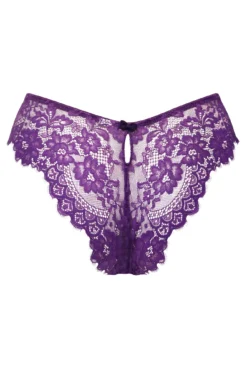India Eyelash Lace V Brief - Blackberry -Curve by Lingerie 270786 20221117163000