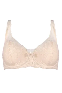 Flora Lightly Padded Underwired Bra - Pearl -Curve by Lingerie 275716 20220711105900