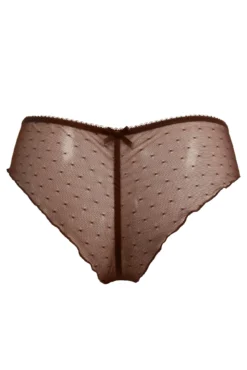 Flora Brazilian Brief - Chocolate -Curve by Lingerie 279547 20230608164100