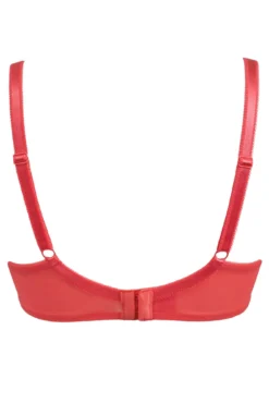 Rebel Underwired Plunge Bra - Coral 7 Rebel Underwired Plunge Bra - Coral -Curve by Lingerie 282455 20220413122400