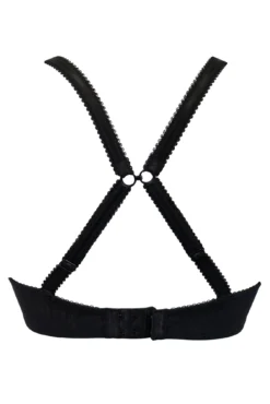 Reflection Non Wired Padded Push Up Bra - Black -Curve by Lingerie 285322 20220504123400