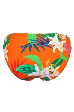 Free Spirit Frill Waist Brief - Zest -Curve by Lingerie 288797 20220622155700