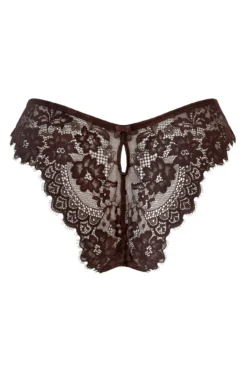 India Eyelash Lace V Brief - Chocolate 7 India Eyelash Lace V Brief - Chocolate -Curve by Lingerie 292258 20220928134600