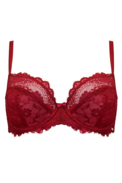 India Eyelash Lace Underwired Bra - Red -Curve by Lingerie 293166 20220824134400