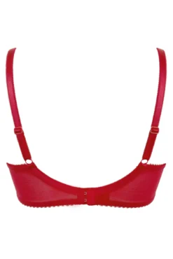 Amour Padded Balconette Bra - Red/Cherry -Curve by Lingerie 296364 20221011130600