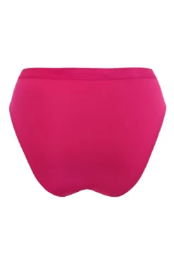 Viva Luxe High Leg Brief - Raspberry -Curve by Lingerie 308534 20230125114700