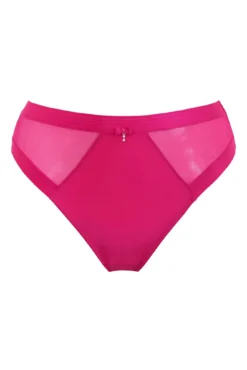 Viva Luxe High Leg Brief - Raspberry -Curve by Lingerie 308535 20230125114700
