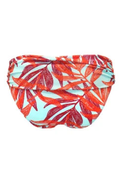 Free Spirit Fold Over Brief. - Aqua Palm 9 Free Spirit Fold Over Brief. - Aqua Palm -Curve by Lingerie 314613 20230419160100