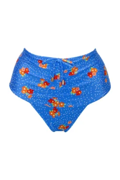 Santa Cruz Super High Waist Brief - Blue Floral -Curve by Lingerie 314863 20230421123100