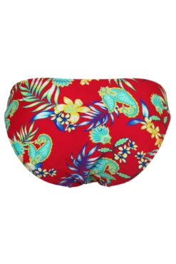 Heatwave Brief - Red Floral -Curve by Lingerie 317834 20230606112800
