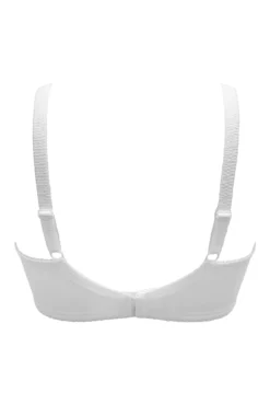 St Tropez Padded Non-Wired T-Shirt Bra - White -Curve by Lingerie 319964 20230804121100